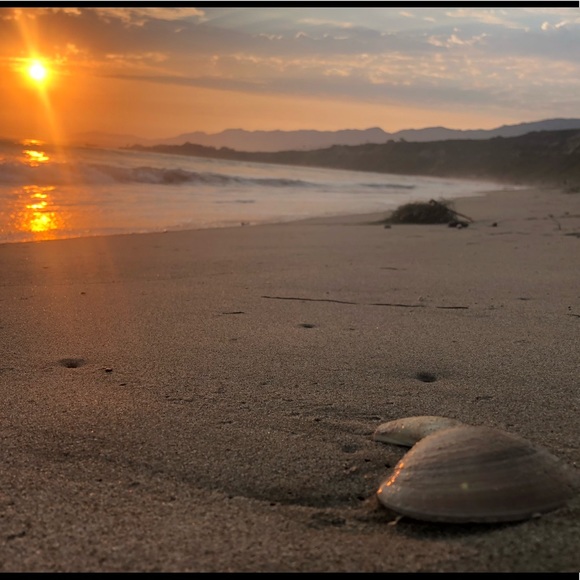 Meet your Posher, Leelee B. - Picture 1 of 1